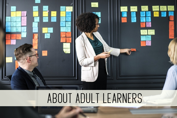 about adult learners online childcare class