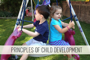 principles of child development online child care class