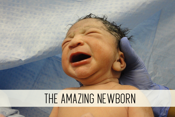 the amazing newborn online child care class