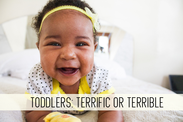 toddlers: terrific or terrible online child care class